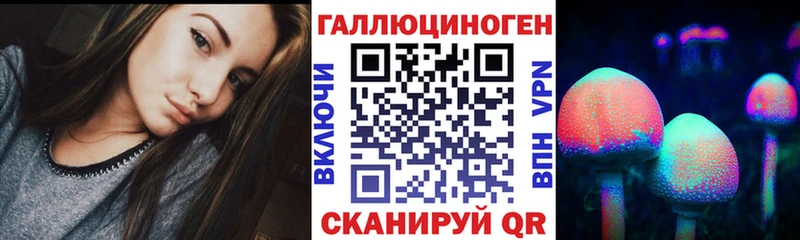 Галлюциногенные грибы Psilocybe  где найти   Ступино 