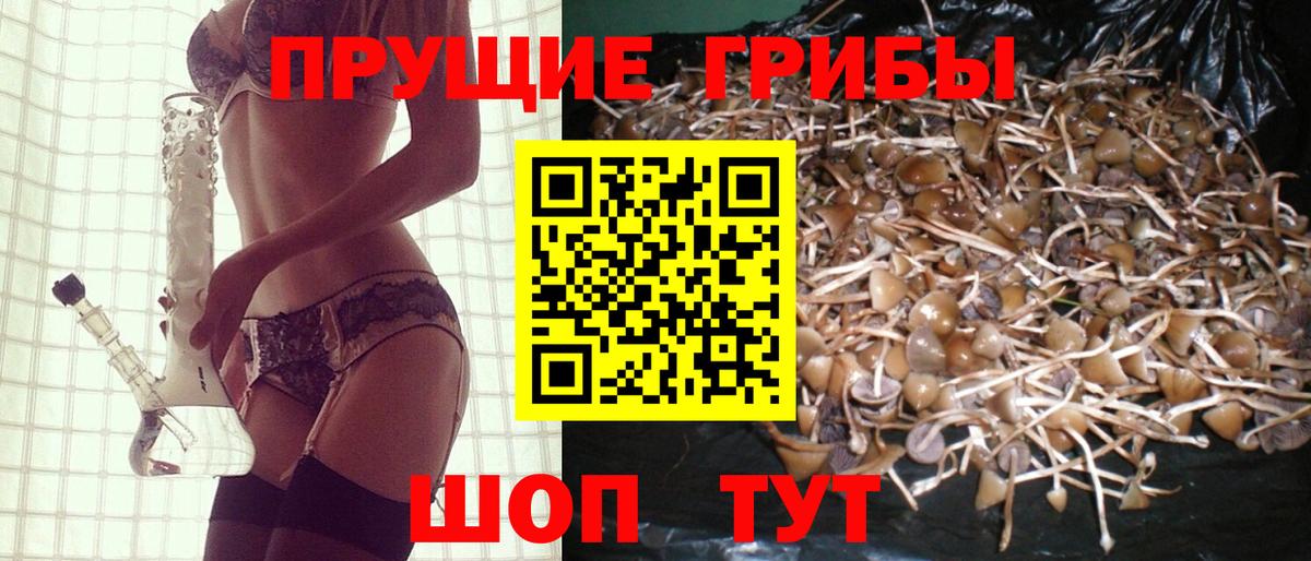 Псилоцибиновые грибы Magic Shrooms Ступино