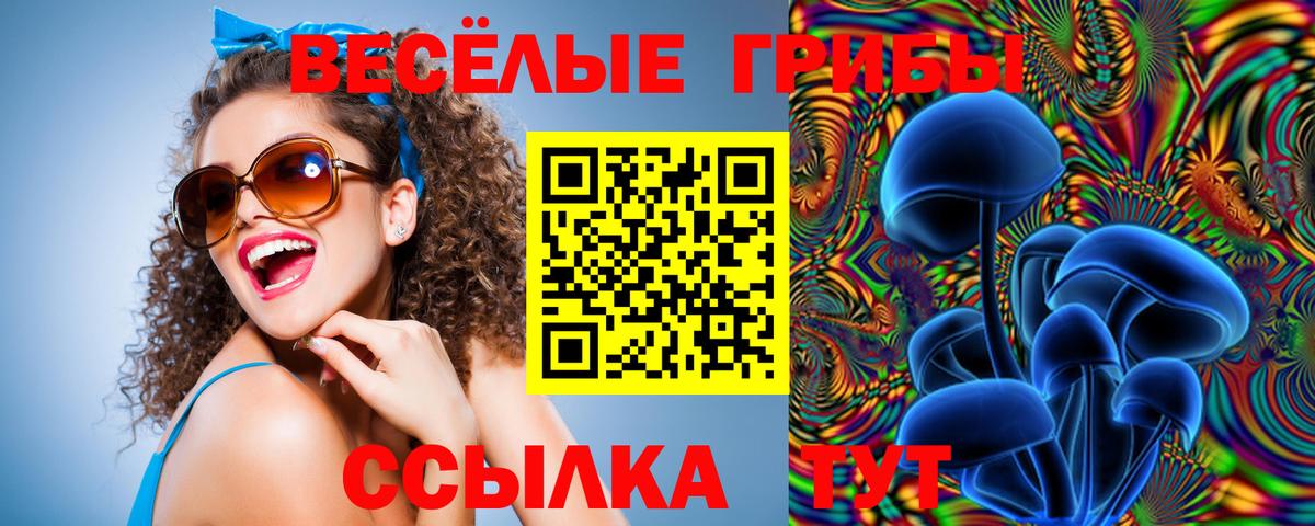 Псилоцибиновые грибы мухоморы  Галлюциногенные грибы Psilocybine cubensis  Вход с VPN  Ступино 
